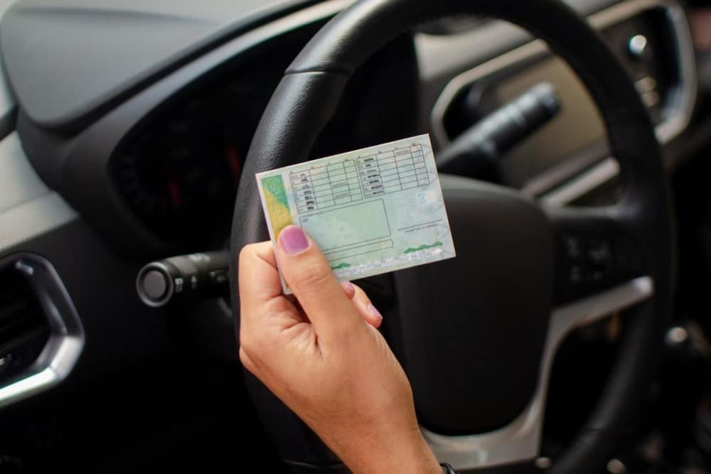 persona sosteniendo carnet de conducir en volante de coche en interior de vehiculo